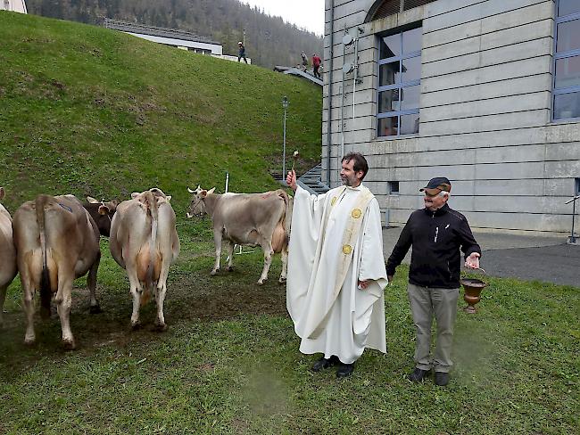 Pfarrer Frank Sommerherhoff erbittet den Segen Gottes über das Vieh.