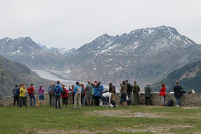 Die interessierten Teilnehmer vor der imposanten Kulisse des Aletschgletschers