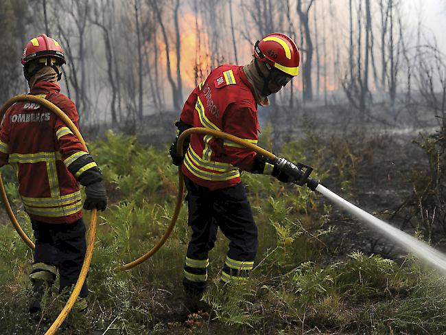 Feuerwehrmänner kämpfen an mehreren Fronten gegen den Waldbrand, doch die Flammen fressen sich weiter vorwärts.