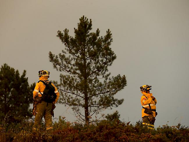 Die Feuerwehrleute haben gute Arbeit geleistet: Ein weiterer grosser Waldbrand in Portugal ist unter Kontrolle.