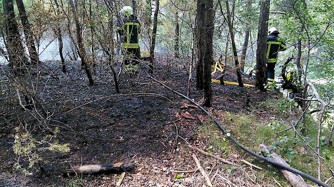Rauchschwaden. Das Feuer im Pfynwald verbrannte rund 1500 Quadratmeter Wald.