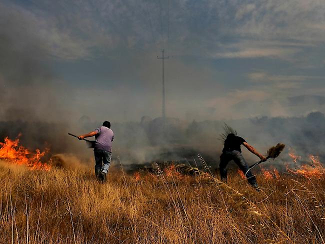Am schlimmsten von den neuen Bränden betroffen ist die Region Castelo Branco im Osten Portugals. Anwohner unterstützen die Feuerwehrleute mit Schaufeln.