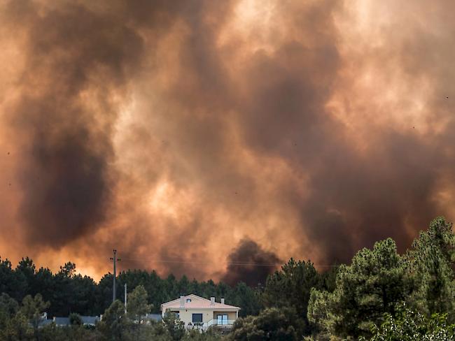 Winde fachen die Waldbrände in Portugal weiter an. Zwei Dutzend Dörfer werden evakuiert. (Archivbild)