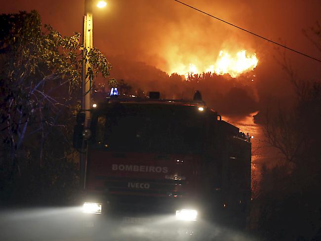 Die Waldbrände in Portugal sind noch nicht unter Kontrolle - das Feuer hat die Übermacht.