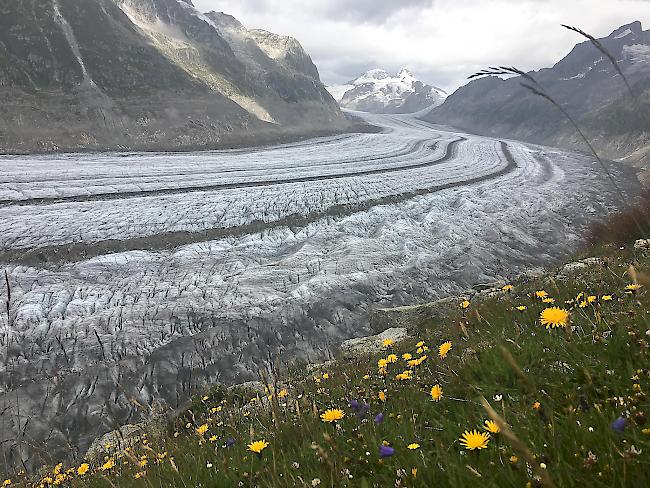 Weniger Speicherverlust im Wallis wegen Gletscherschmelze.