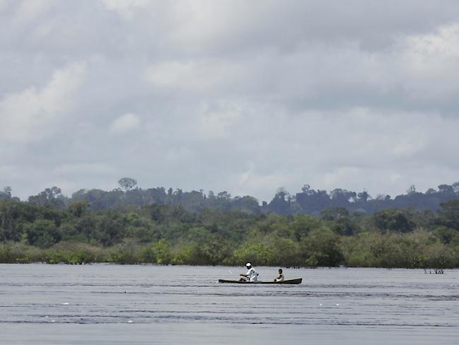 Fischer auf dem brasilianischen Fluss Xingu, nach dem auch der Nationalpark benannt ist (Archiv)