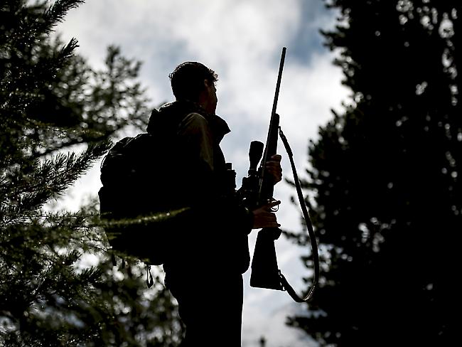 Die Jagdsaison im Wallis ist eröffnet: Rund 2400 Walliserinnen und Walliser haben ein Jagdpatent gelöst und dürfen ihr Gewehr schultern.