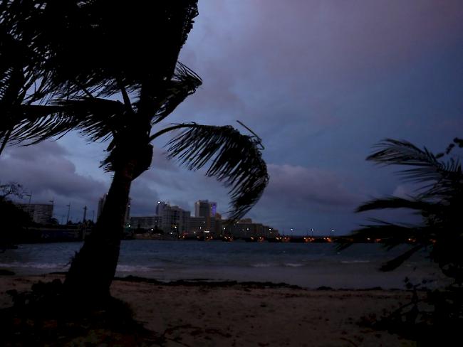 Palmen im Sturm in San Juan auf Puerto Rico - laut Gouverneur Ricardo Rossello könnte "Maria" zum Jahrhundertsturm für die Insel werden.