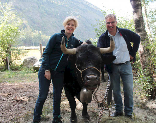 Prominenter Eringerzüchter: SVP-Nationalrat Toni Brunner, hier mit seiner Lebenspartnerin, führt gleich zwei Tiere in Ring.