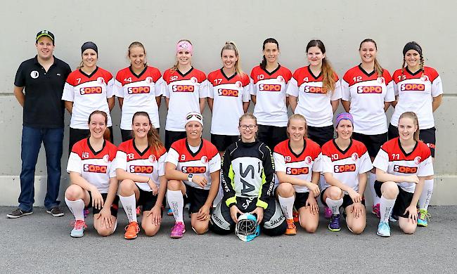 Die Damen des UHC Visper Lions der Saison 2017/2018.