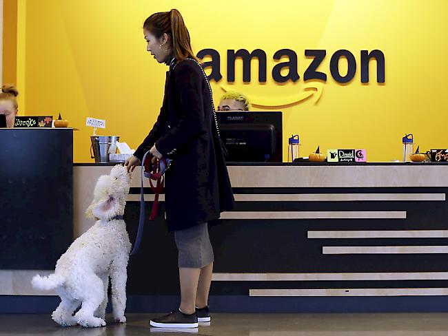 Mit milliardenschweren Steuererleichterungen buhlen nordamerikanische Städte um den Onlinehandels-Riesen Amazon, der einen Standort für seinen zweiten Hauptsitz sucht.