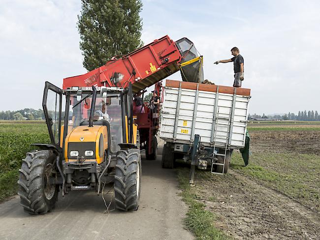 Der Bundesrat will den Schweizer Agrarmarkt künftig stärker öffnen, die Bauern beharren auf einem starken Grenzschutz, und beide Seiten berufen sich dabei auf die vielzitierte "Ernährungssicherheit". (Symbolbild)