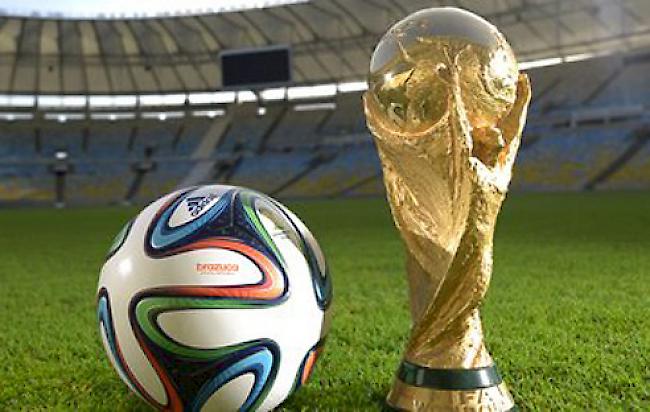 WM-Fieber: Am Freitag (16.00 Uhr MEZ) erfolgt die Auslosung der Gruppen für die Fussball-WM in Russland.