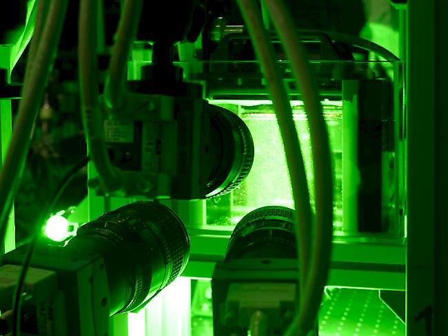 Um die Eigenbewegung von Ruderfusskrebsen zu bestimmen, wird die Strömung des Wassers im Turbulenzengenerator mit Plastikpartikeln gemessen, die im grünen Laserlicht rot fluoreszieren.