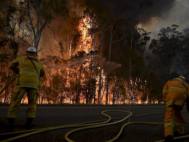 Wegen eines versehentlich ausgelösten Buschbrands mussten in der Region bei Melbourne mehrere Häuser geräumt werden. (Symbolbild)