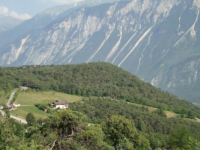 Umstrittene Lage. Der Standort der geplanten Villen bei Miège ist für die Stiftung Landschaftsschutz Schweiz nicht geeignet.