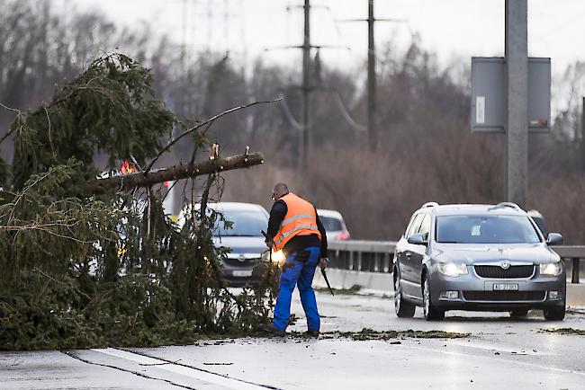 Ein durch den Sturm Burglind umgestürzter Baum blockiert die Durchfahrt auf der Autobahn A1 Fahrtrichtung Bern. (Archiv)