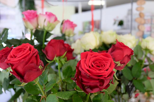 Rote Rosen sind der Renner und werden in der Schweiz am häufigsten verkauft.