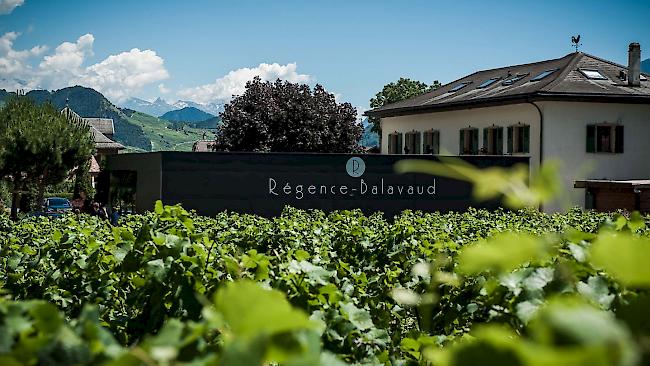 Provins hat das renommierte Weingut Régence Balavaud in Vétroz übernommen.