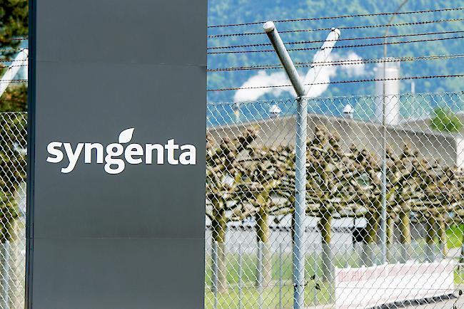 Syngenta ist weltweit einer der grössten Konzerne im Agrargeschäft. In der Produktion in Monthey werden 870 Personen beschäftigt. 