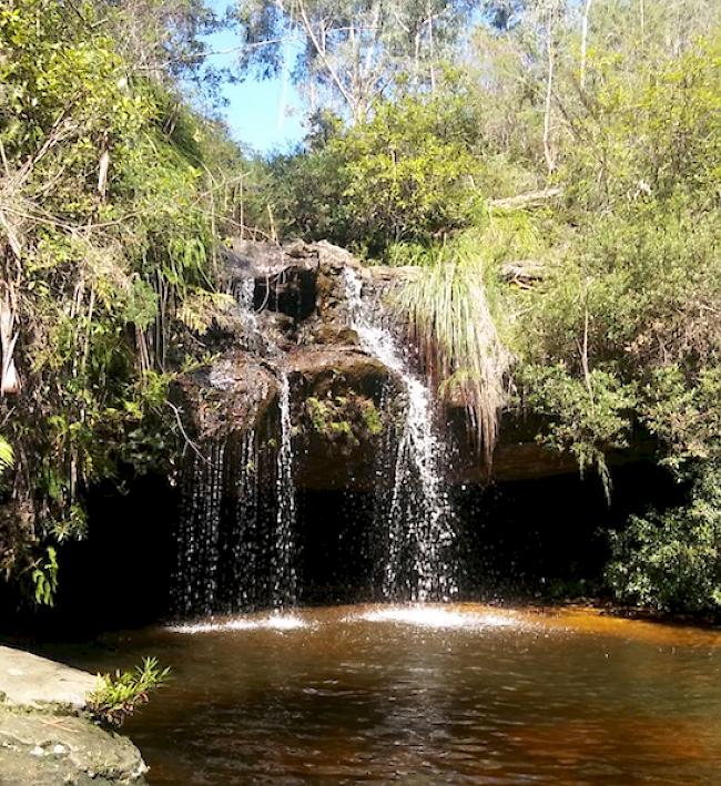 Erikas Lieblings-Wasserfall in Lawson