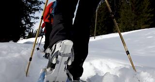 Unterwegs mit Schneeschuhen (Symbolbild)