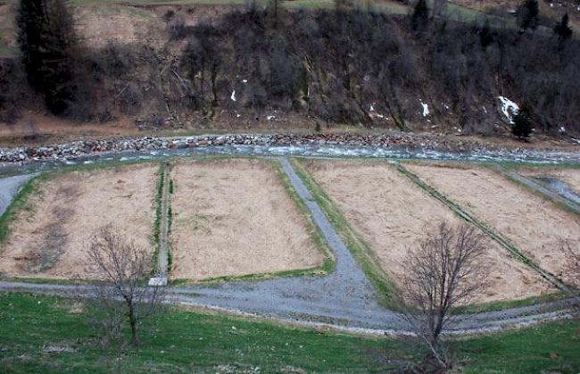 Blick auf die Wurzelraumkläranlage in Wiler in unmittelbarer Nähe zur Lonza. «Diese funktioniert unserer Meinung nach überhaupt nicht», sagt der Anwalt der Gemeinden Wiler, Kippel und Ferden.