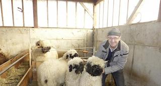 Alwin Meichtry: &laquo;Mein Herz schl&auml;gt weiter f&uuml;r unsere Traditionsrasse.&raquo; 