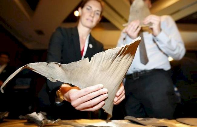 Tierschützer mit getrockneten Haiflossen bei der Artenschutzkonferenz in Bangkok (Archivbild)