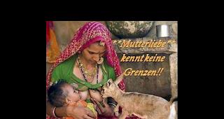 &laquo;Ein Bild zum heutigen Thema f&uuml;r Kaktus&raquo;