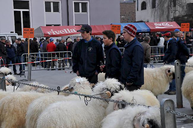 Mehrere Kriterien sind ausschlaggebend...