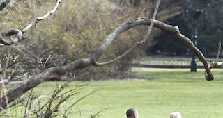 Draussen sitzen? Kaffee trinken? Schlafen? Ein Buch lesen? Und wo?