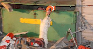 Die Suche nach vermissten Personen wird im Training der REDOG-Regionalgruppe Wallis ge&uuml;bt. Die Hunde erhalten im Anschluss jeweils eine Belohnung.