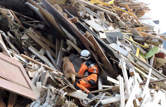 Die REDOG-Regionalgruppe Wallis beim Training in einer Genfer Recyclingfirma. Im Bild: Nadia und «Dipsy».