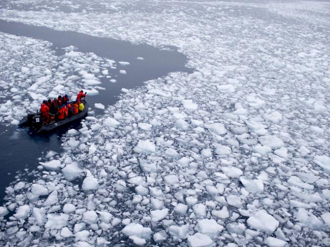 Besorgt über Eisschmelze: Wissenschaftler in der Antarktis (Archiv)