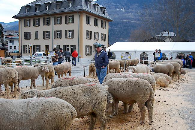 Impressionen vom Widdermarkt.