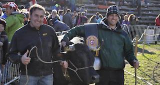 Armin und Horst Wyssen siegten mit &laquo;Harcas&raquo; bei den Zweitmelken