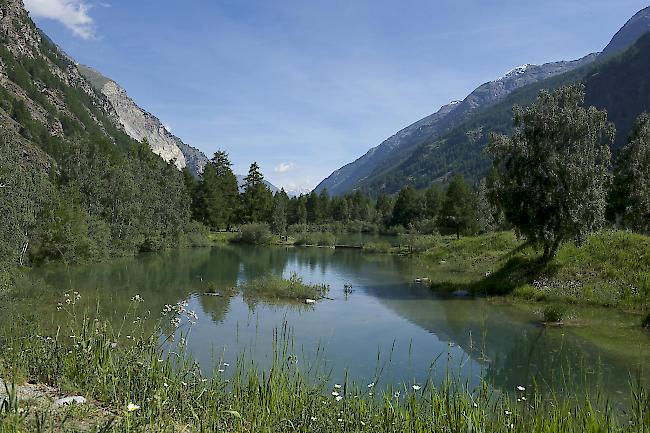 Schalisee in Täsch: Hier kann im Sommer erstmals Wasserski gefahren werden. 