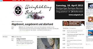 Hallo zusammen! So sieht es bei mir aus, wenn ich auf die &Uuml;bersichtseite des Blogs gehe....Gruss vom Ventil