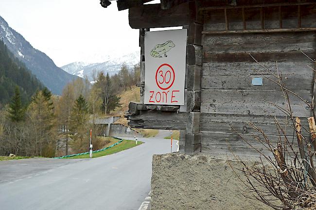 In Ferden, im Orte genannt «Goltschried», wurde eigens für die Frösche eine provisorische 30er-Zone eingerichtet.