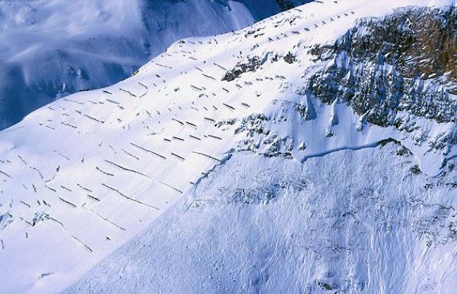 Lawinenanbruch neben der Verbauung Schweifinen oberhalb von Zermatt im Februar 1999. Innerhalb der Verbauung haben die Stützwerke einen Lawinenanbruch verhindert.