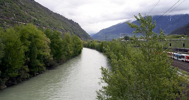 Das neue Modell soll den Flusslauf von der Gamsamündung bis zur blauen Brücke untersuchen.