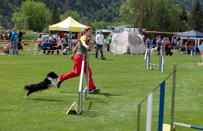 Einige Eindrücke vom Agility Meeting am Samstag.