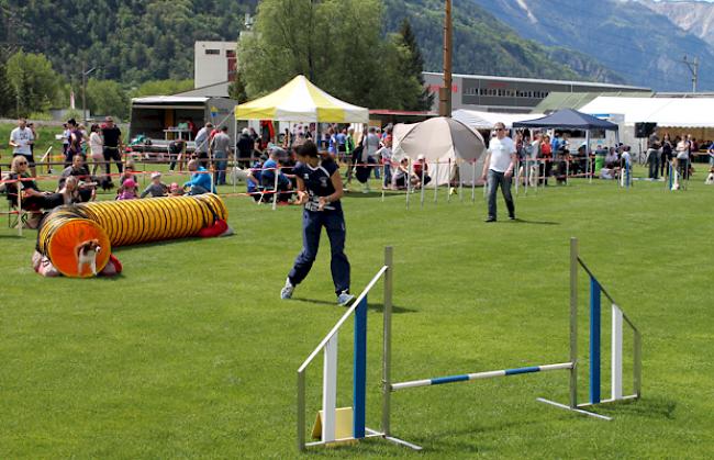 Einige Eindrücke vom Agility Meeting am Samstag.