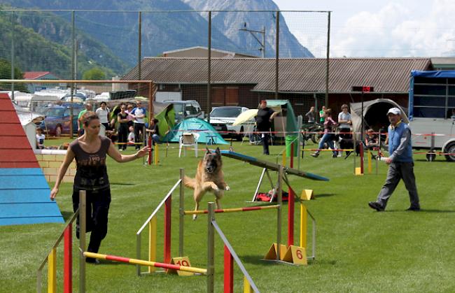 Einige Eindrücke vom Agility Meeting am Samstag.