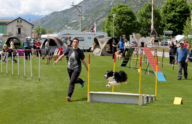 Einige Eindrücke vom Agility Meeting am Samstag.