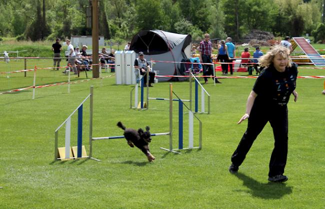 Einige Eindrücke vom Agility Meeting am Samstag.