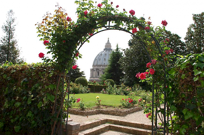 Schöne Blicke: Die Kuppel des Petersdoms aus den Anhöhen des Vatikanischen Gartens.