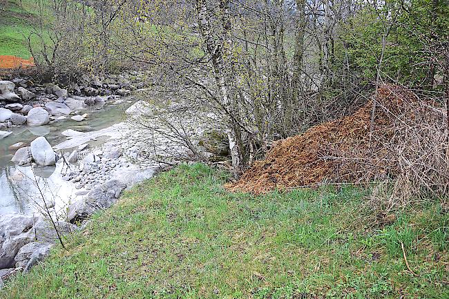 Illegal? Der Misthaufen «im Brunni» in Fiesch liegt sehr nahe am Rottenbord.