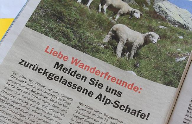 Das Inserat in der aktuellen «Coopzeitung».